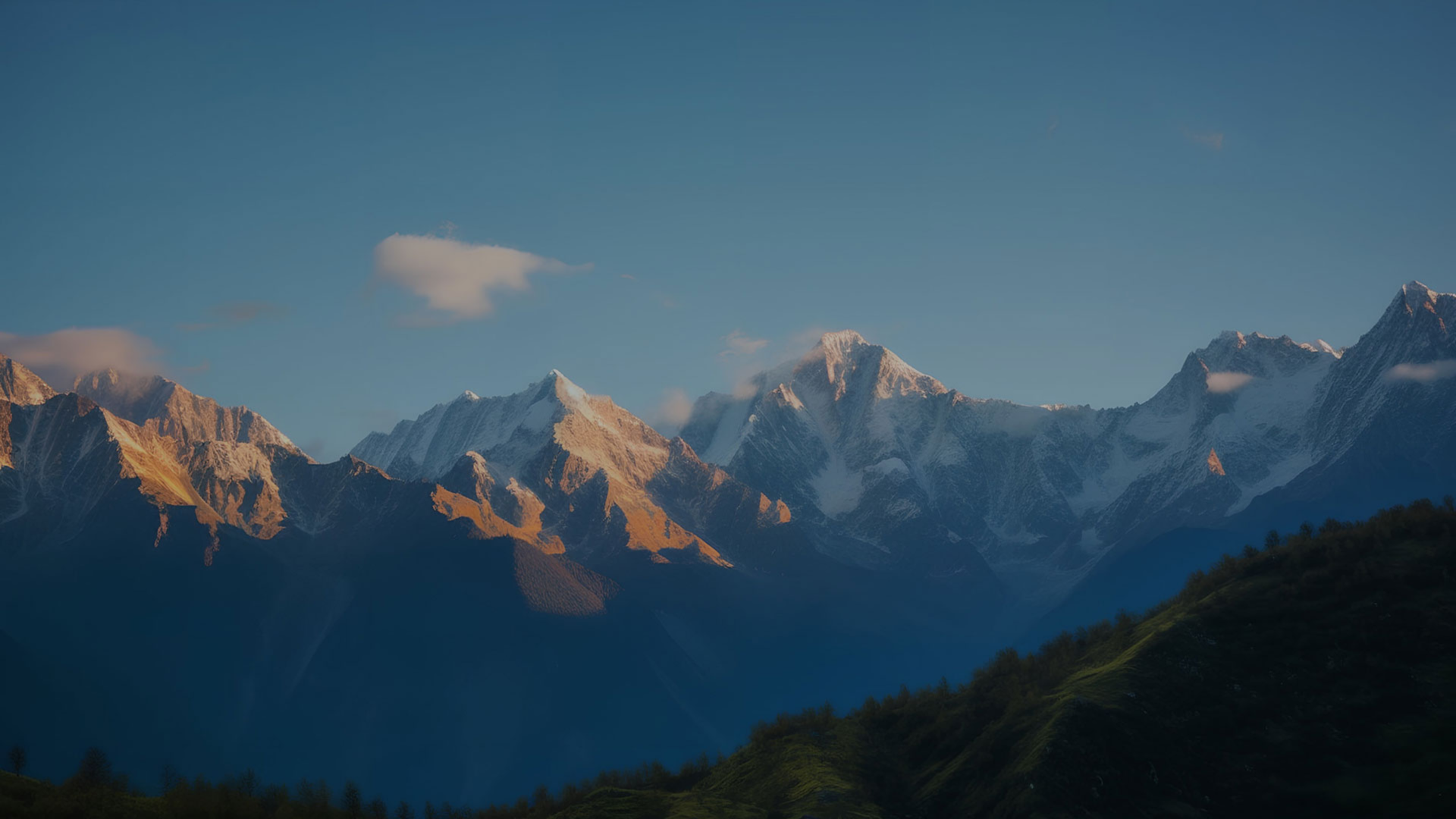 Características técnicas